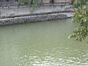 DSCN3767.JPG