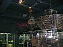 DSCN3775.JPG