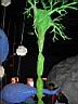 DSCN3782.jpg
