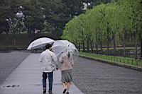 IMG_6032.JPG