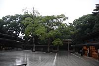 IMG_6109.JPG