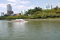 G1-P1000048.JPG