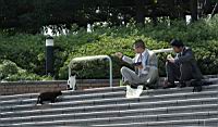 IMG_6860.jpg