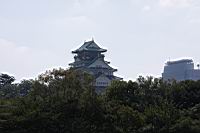 IMG_6895.JPG