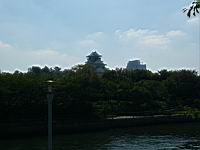 P1000067.JPG
