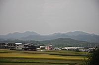 IMG_7134.JPG
