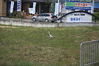 IMG_7136.JPG