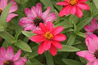 IMG_7158.JPG
