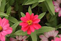 IMG_7160.JPG