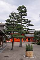IMG_7242.JPG