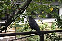 IMG_7281.JPG
