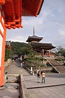 IMG_7376.JPG