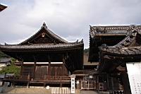 IMG_7389.JPG