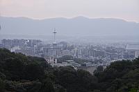 IMG_7431.JPG