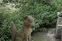 IMG_7469.JPG