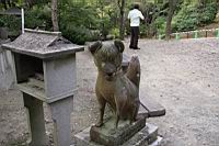 IMG_7472.JPG