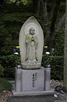IMG_7515.JPG