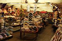 IMG_7537.JPG