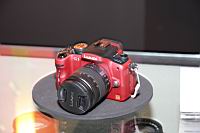 IMG_6179.JPG