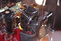 IMG_6316.JPG