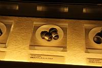 IMG_6980.JPG