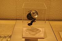 IMG_6981.JPG