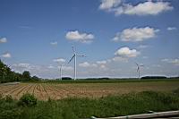 IMG_0667.JPG