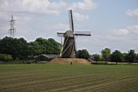 IMG_0695.JPG