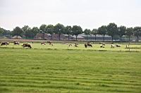 IMG_0845.JPG
