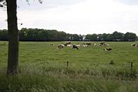 IMG_0848.JPG