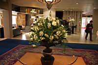 IMG_0859.JPG