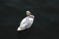 IMG_0865.JPG