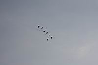 IMG_0886.JPG