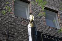 IMG_0897.JPG