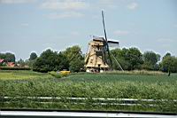 IMG_0995.JPG