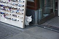 IMG_1129.JPG