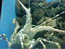 08MarineMuseum002.JPG