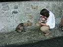 09Monkey'sHill002.JPG