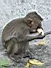 09Monkey'sHill004.JPG