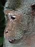 09Monkey'sHill005.JPG