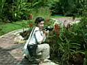 11TigerZoo003.JPG