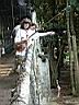 11TigerZoo009.JPG