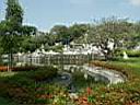 12CrocodileZoo003.JPG
