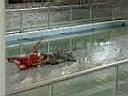 12CrocodileZoo016.JPG